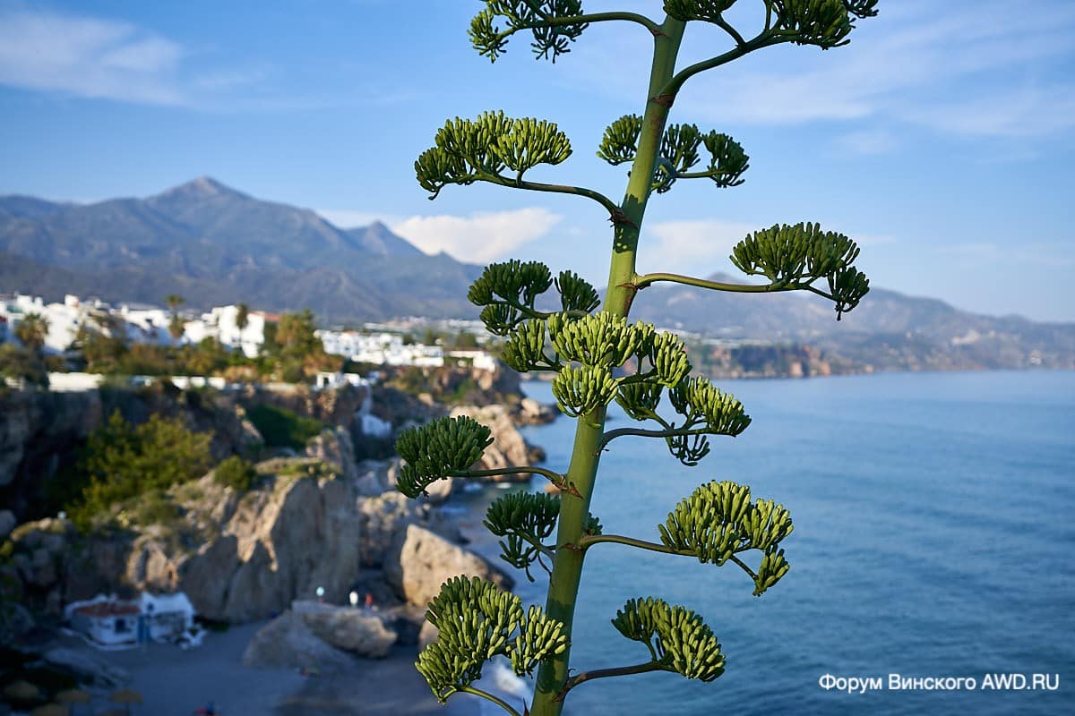 Балкон Европы Нерха