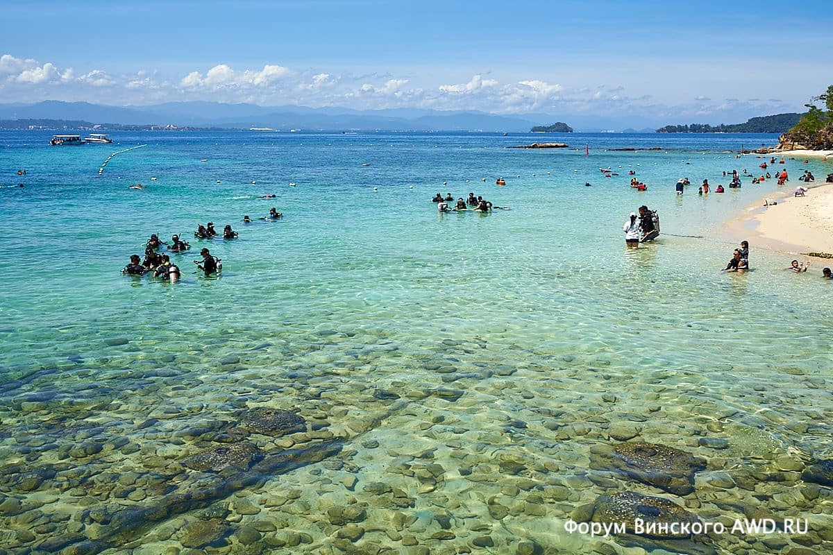 Sapi island Кота Кинабалу