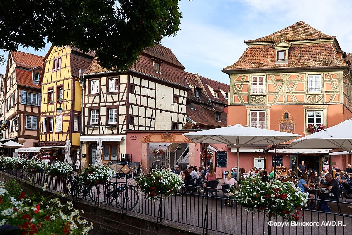 Colmar отзывы