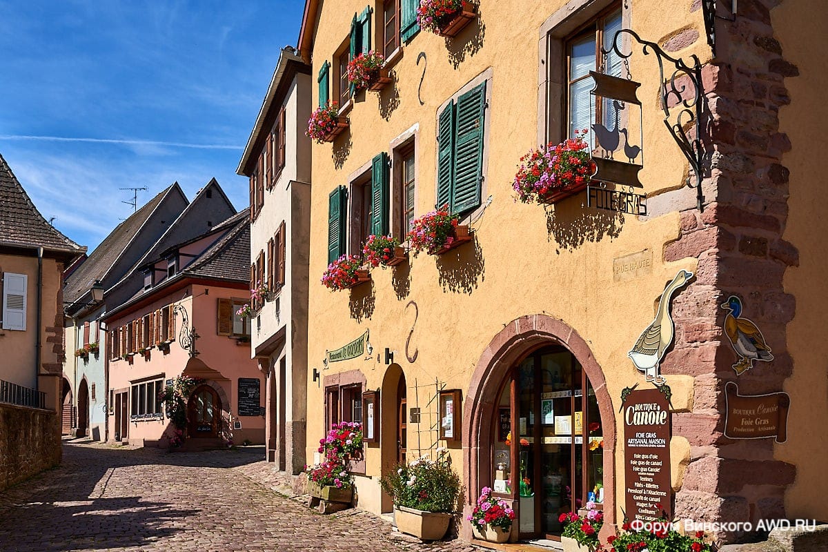 Губершвир Эльзас отзывы