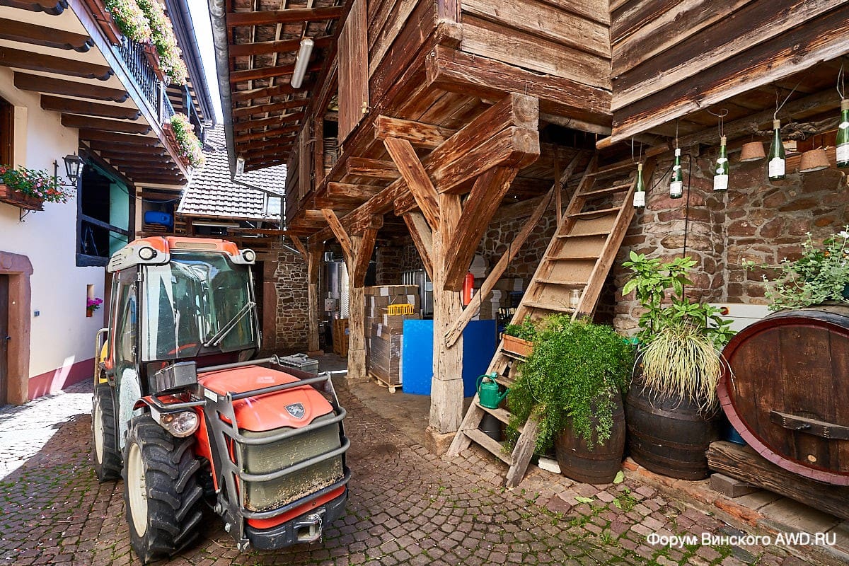 Губершвир Эльзас отзывы