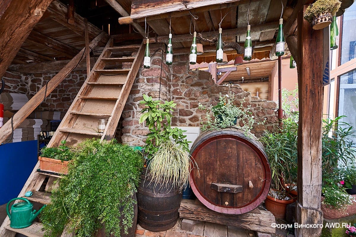 Губершвир Эльзас отзывы