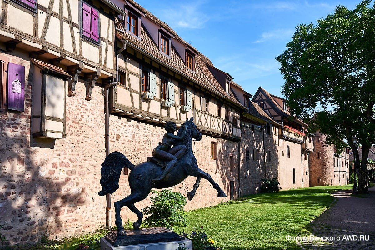 Риквир отзывы