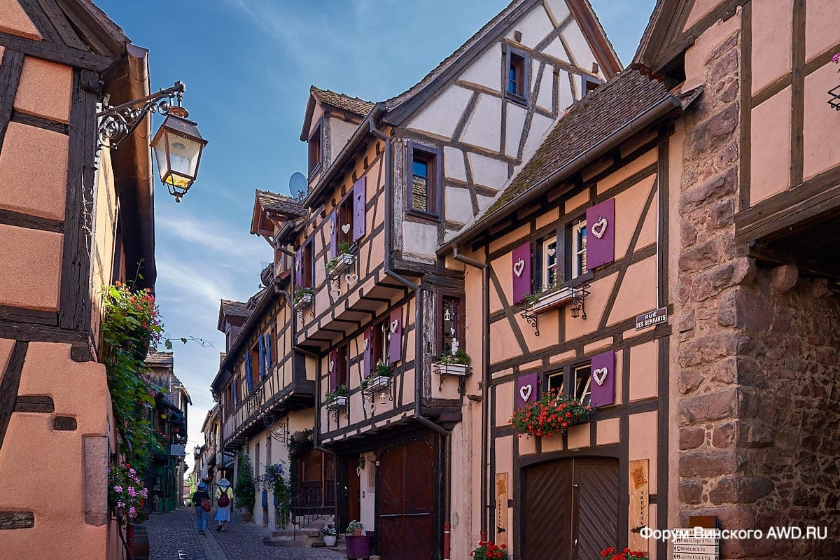 Риквир отзывы