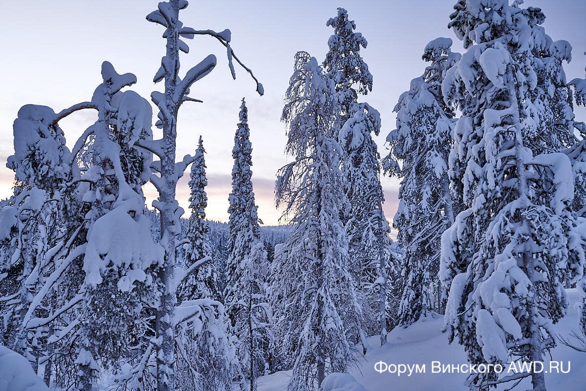 Рука отзывы