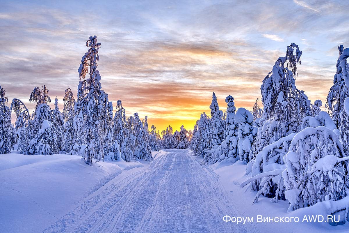 Аренда снегохода в Финляндии