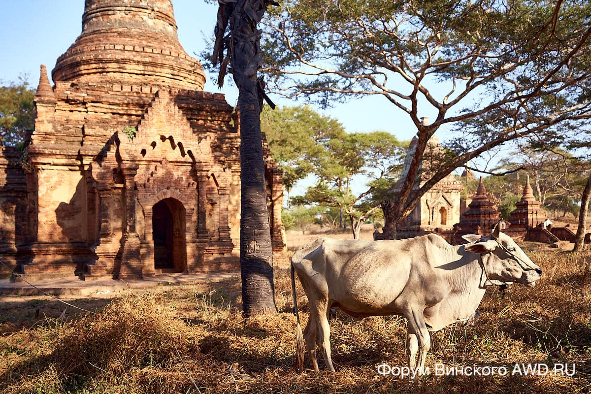 Баган Мьянма