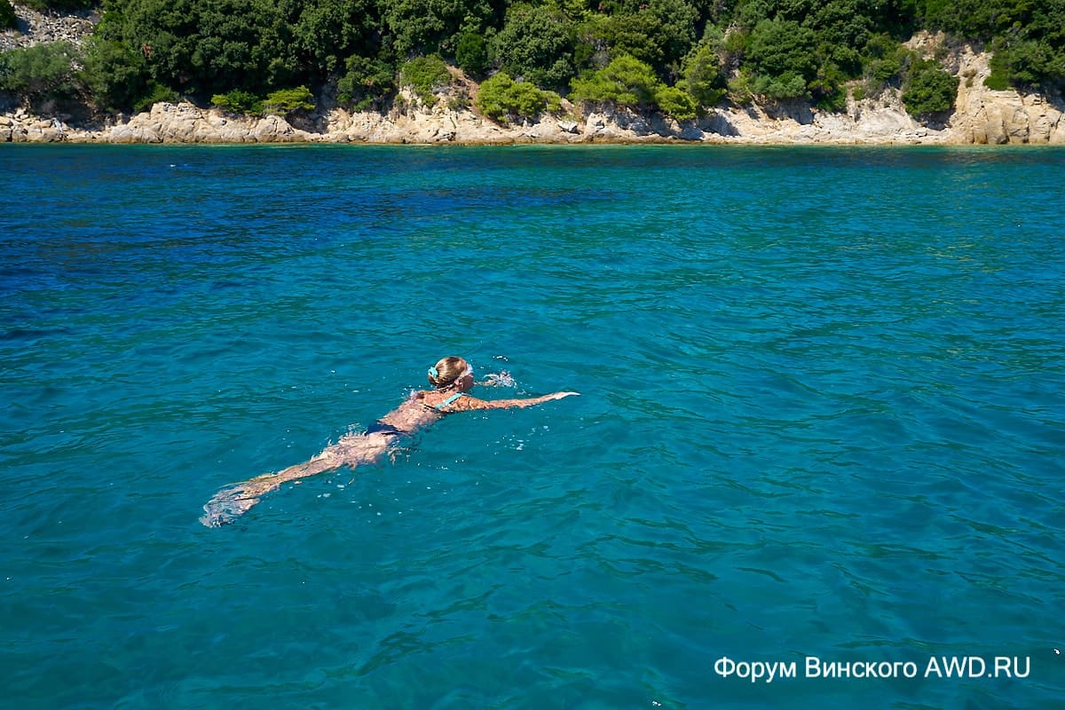 Винский итоги 2017