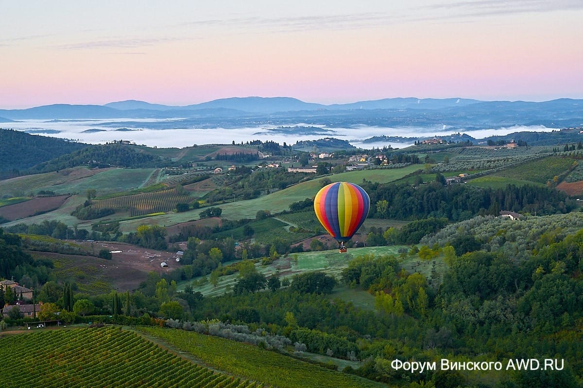 Винский итоги 2017
