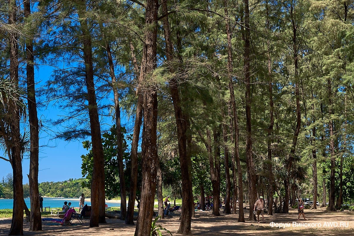 Layan beach (Лаянн бич)