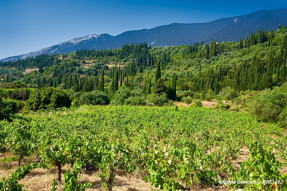 Центр Кефалонии фото