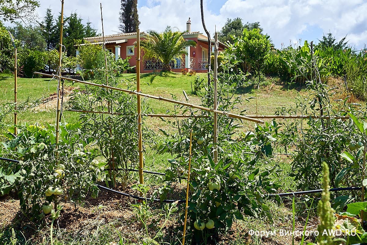 Корфу аренда виллы