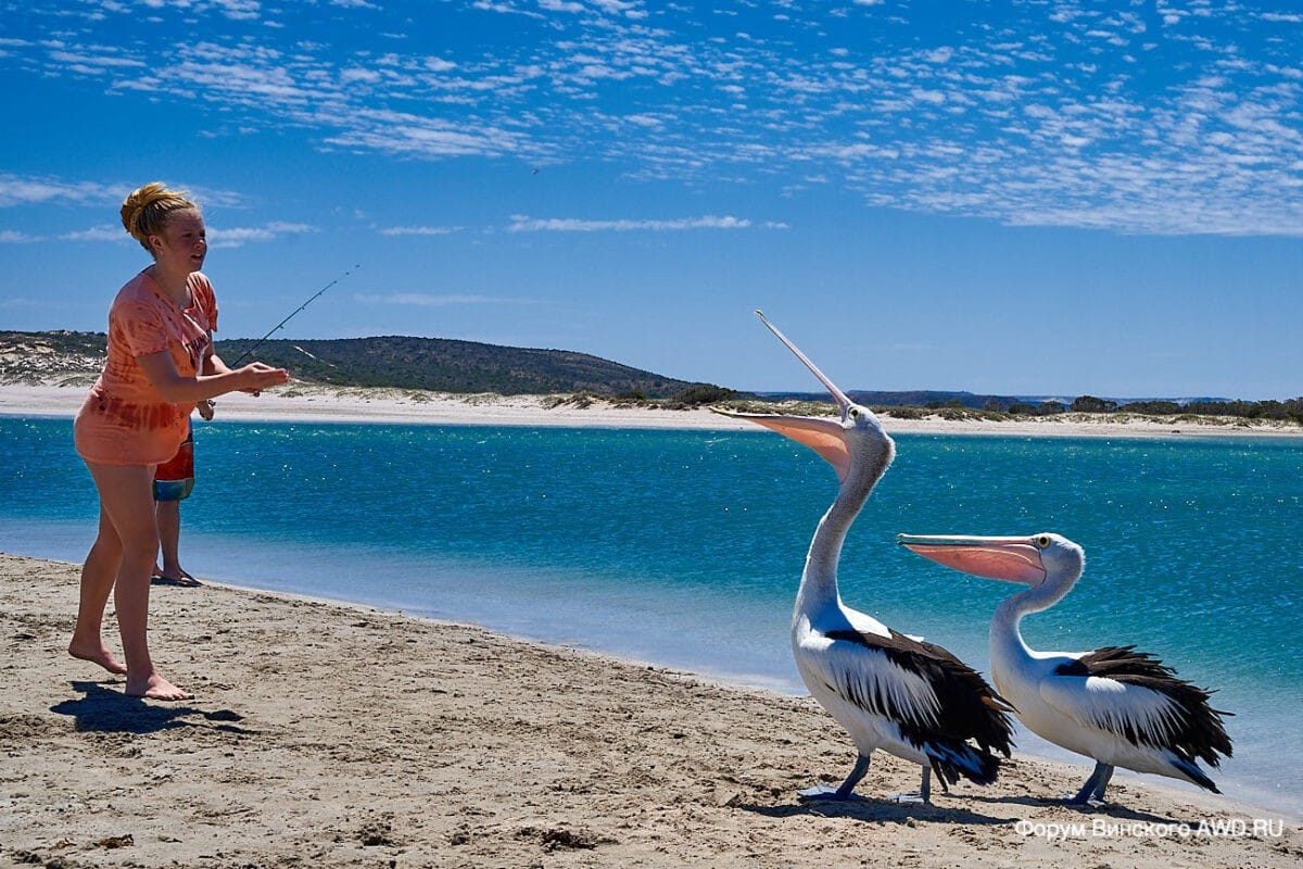 Kalbarri WA Australia