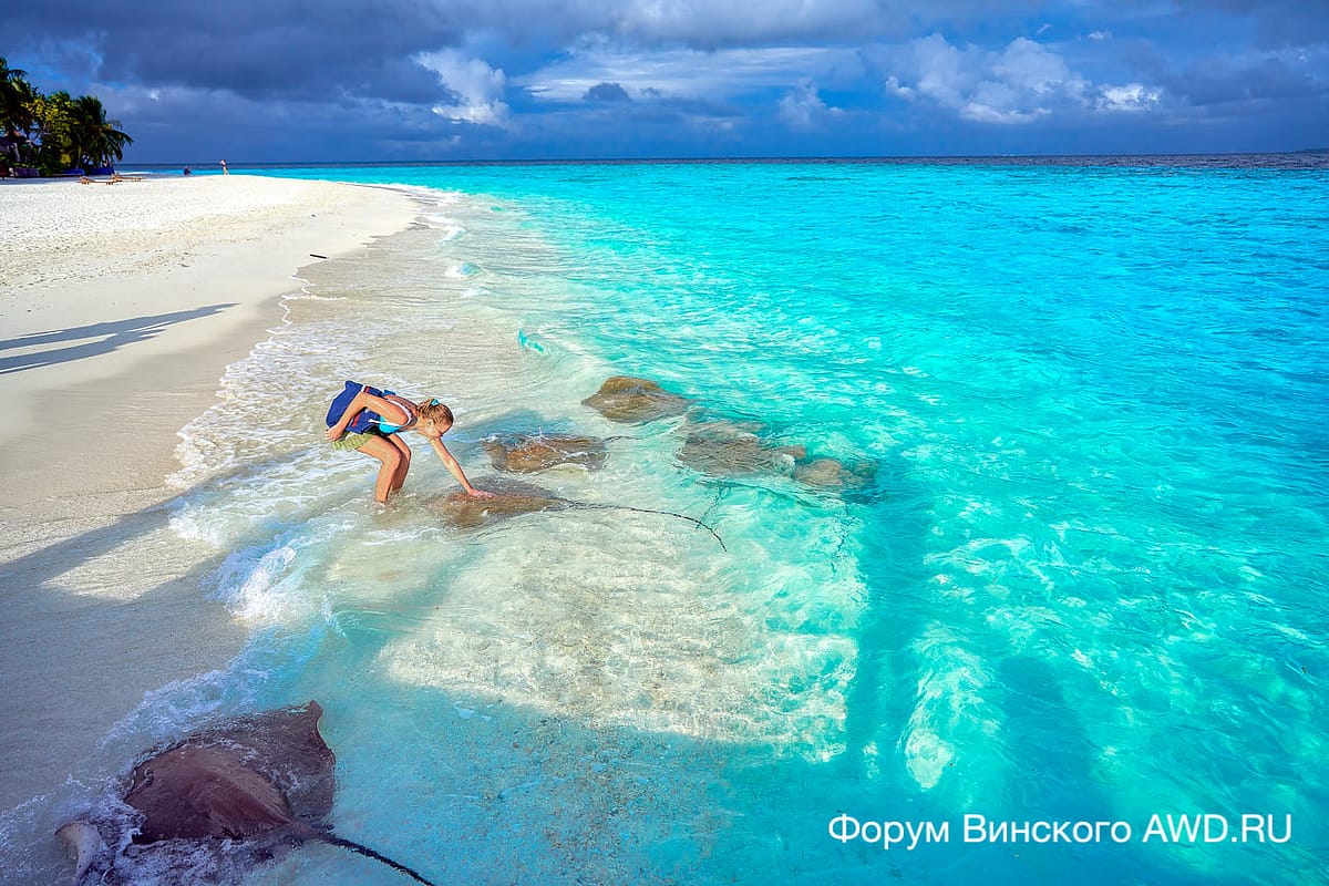 Banyan Tree Vabbinfaru отзывы