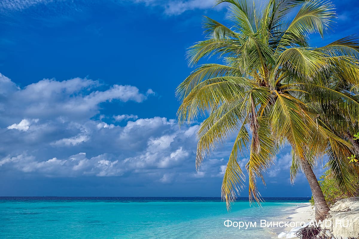 Angsana Ihuru Мальдивы