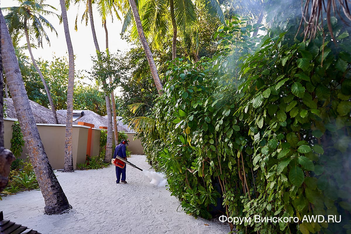 Angsana Ihuru Мальдивы