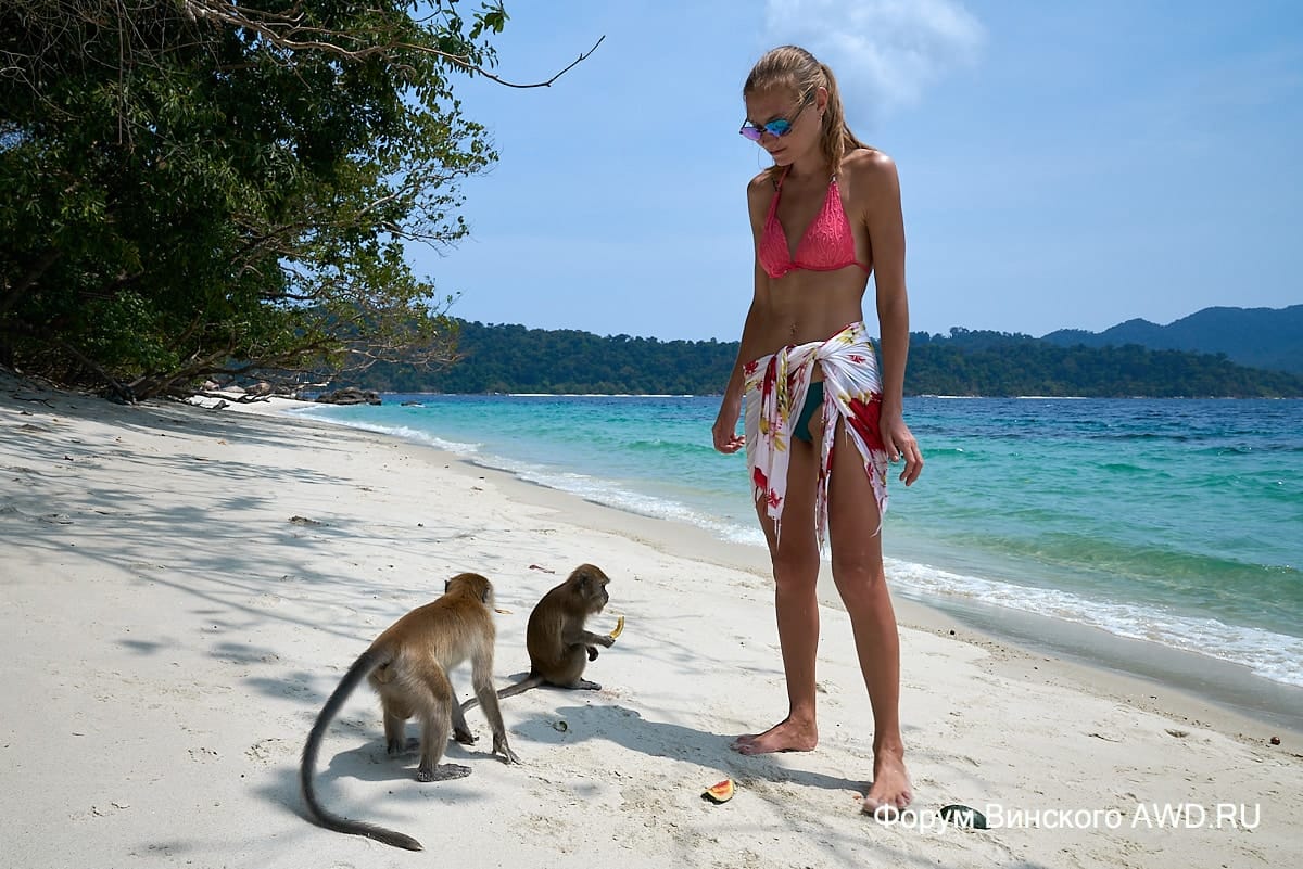 monkey beach Ко Липе