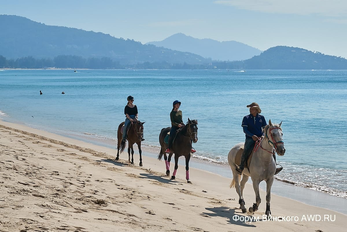 Пляж Банг Тао начале декабря