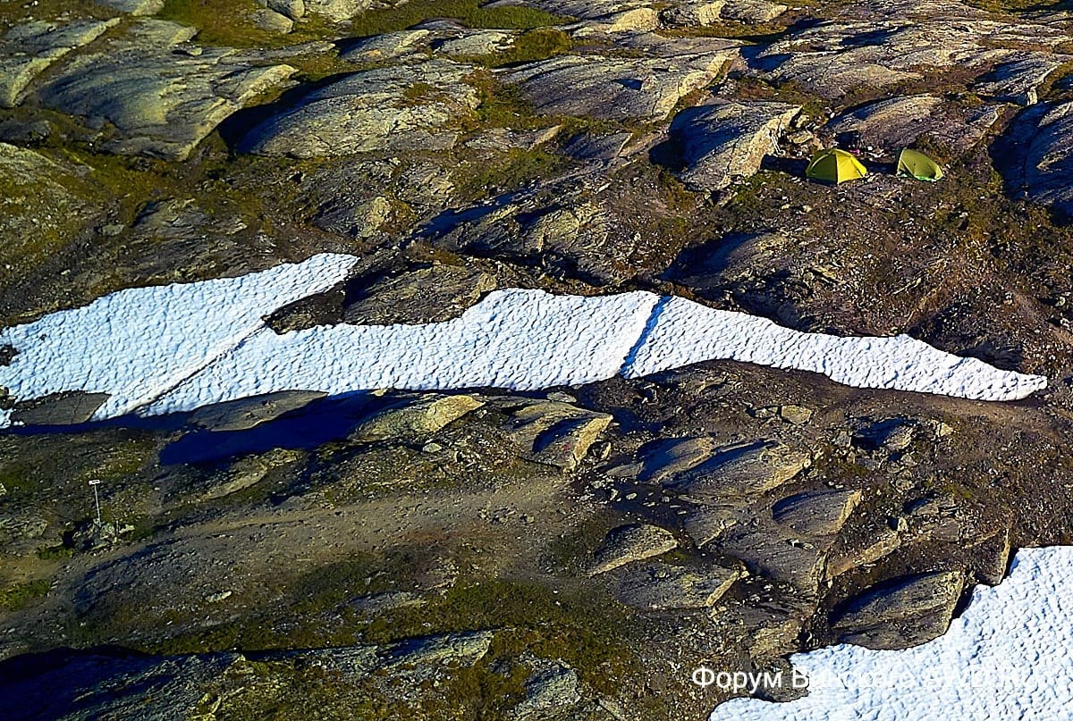 Язык Тролля отзывы 2018