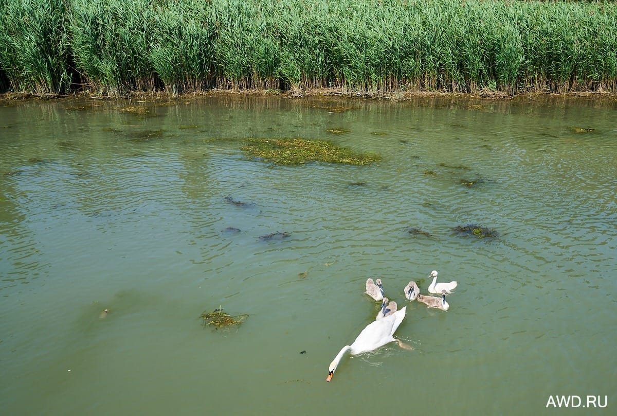 Марины и стоянки в лагуне Венеции