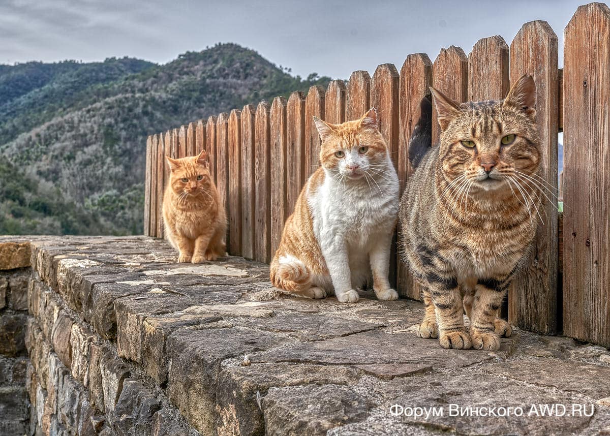 Априкале Лигурия