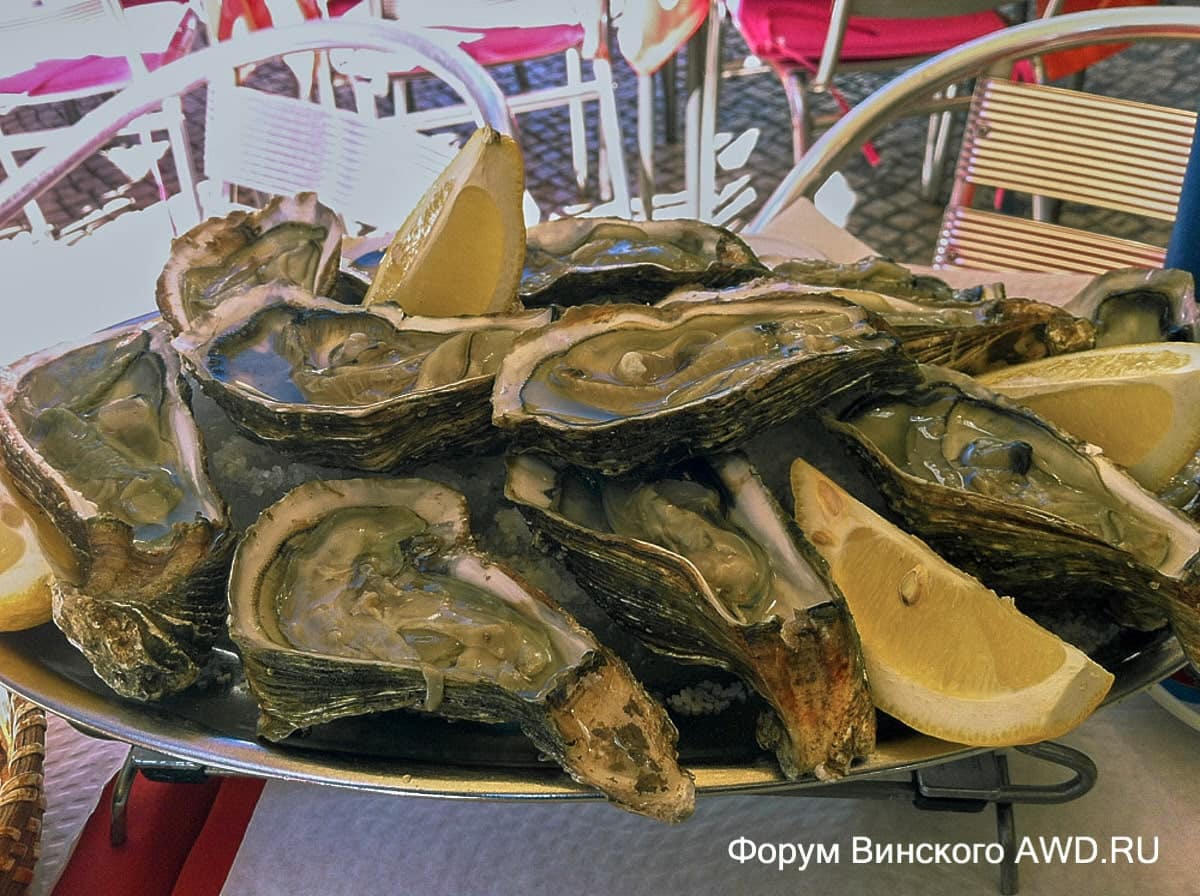 Транзитная шенгенская виза