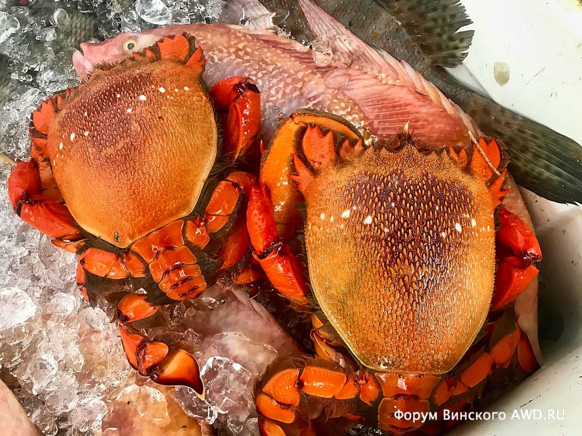 Красные крабы на Пхукете