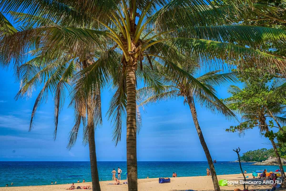 Куда поехать на море в ноябре