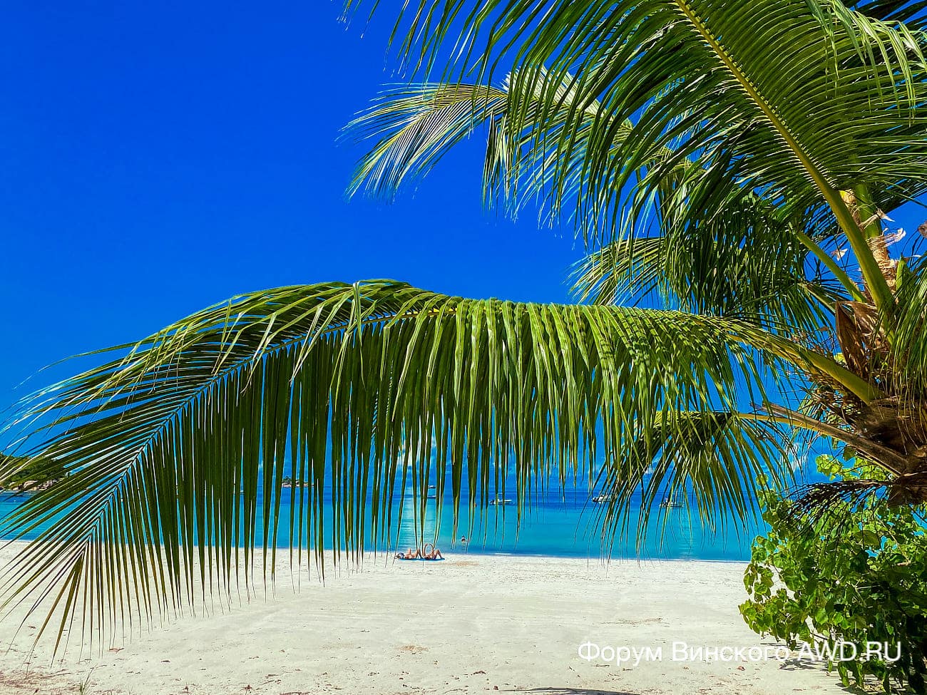 Анс Вольбер Праслин