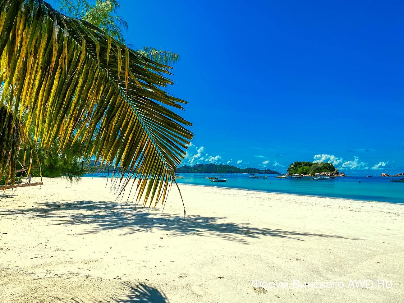 Анс Вольбер Праслин