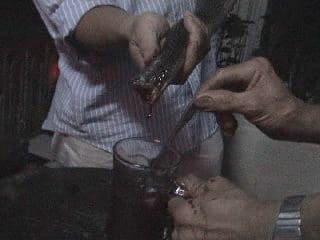 Ужин с коброй