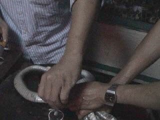 Ужин с коброй