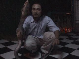 Ужин с коброй