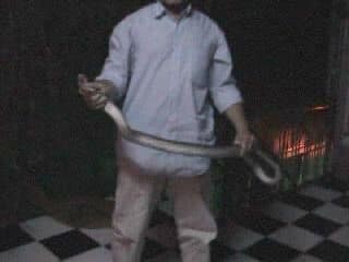 Ужин с коброй