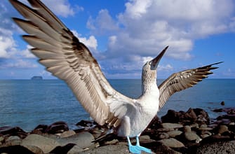 Галапагосские острова