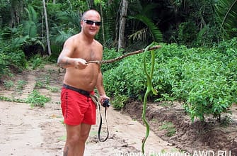 Alter do Chao Карибы в Бразилии