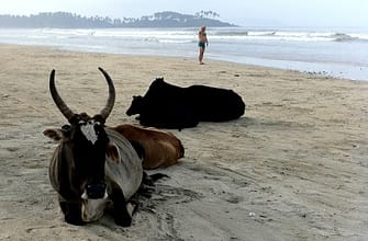 Гоа палолем бич