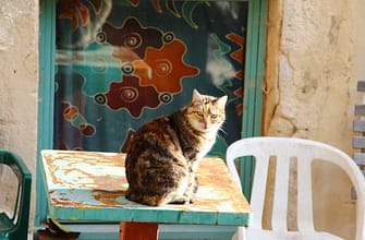 Прованс интересные места. Автомаршрут 7 дней.