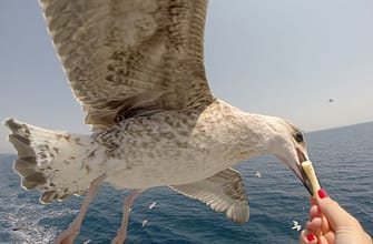 Цены в Греции