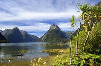 Путешествие в Новую Зеландию