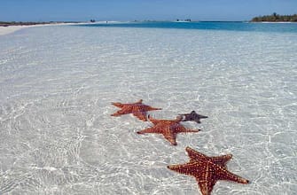 Куба в декабре