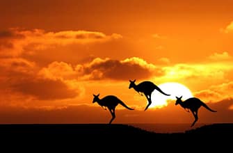 Получение визы Австралии