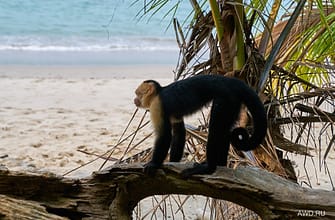 Планы на майские