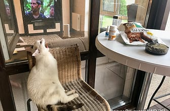 Можно ли жить постоянно на даче