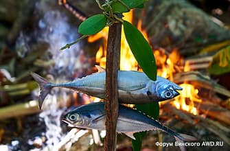 Ко Липе чем заняться 2019