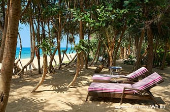 Натай бич клуб Баба