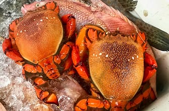 Красные крабы на Пхукете