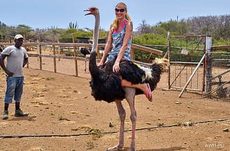 Повторный въезд в Шенген по мультивизе
