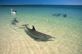 Западная Австралия национальные парки