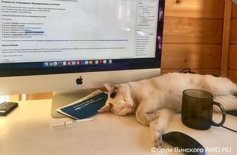 Как отменить бронь отеля из-за коронавируса